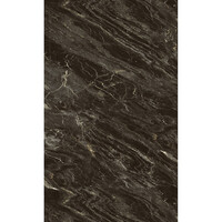 Wandpaneel Isodeco Rosseta Stone 120x260 cm SPC Mat Marmer Zwart (Prijs per Plaat)