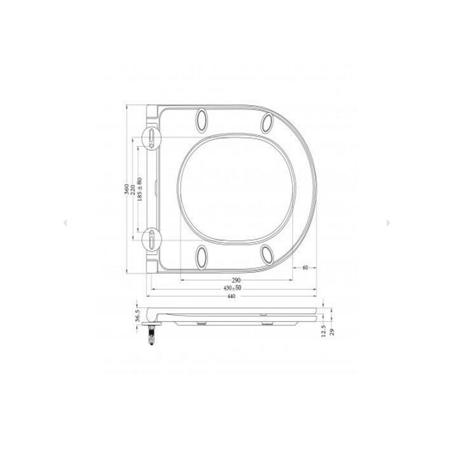 AstevToiletzitting Softclose En Quick Release BWS Mat Wit