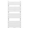 Boss & Wessing Handdoekradiator BWS Ress Middenaansluiting 681W 120x60 cm Wit