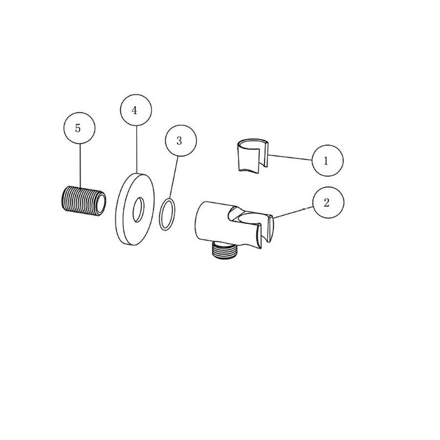 Wandaansluitbocht Wiesbaden Nala Met Handdouchehouder Rond 1/2" Geborsteld Messing