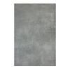Vloertegel Betonlook Flaminia Argos Silver Gerectificeerd 60x120 cm (Prijs per M2)