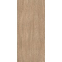 Vloertegel Douglas & Jones 120x280 cm Magnum Plank 1 (Prijs per M2)