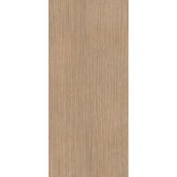 Vloertegel Douglas & Jones 120x280 cm Magnum Plank 1 (Prijs per M2)