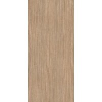 Vloertegel Douglas & Jones 120x280 cm Magnum Plank 1 (Prijs per M2)