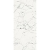 Douglas & Jones Vloertegel Douglas & Jones 120x280 cm Magnum Mat Blanc (Prijs per M2)