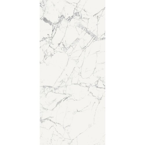 Vloertegel Douglas & Jones 120x280 cm Magnum Glans Blanc (Prijs per M2) 