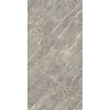 Douglas & Jones Vloertegel Douglas & Jones 120x280 cm Magnum Glans Gris (Prijs per M2)