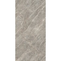 Vloertegel Douglas & Jones 120x280 cm Magnum Glans Gris (Prijs per M2)