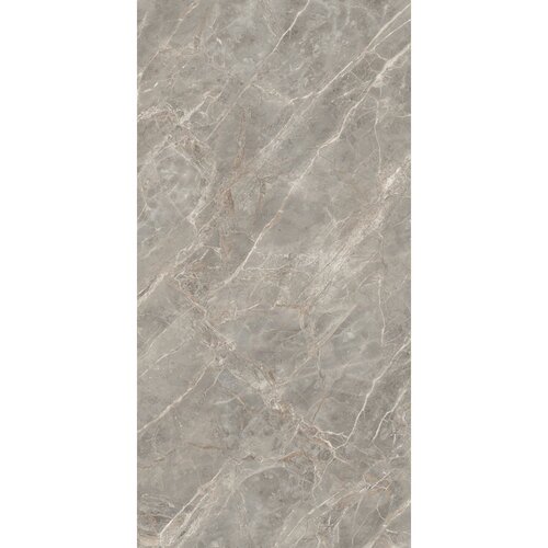 Vloertegel Douglas & Jones 120x280 cm Magnum Glans Gris (Prijs per M2) 