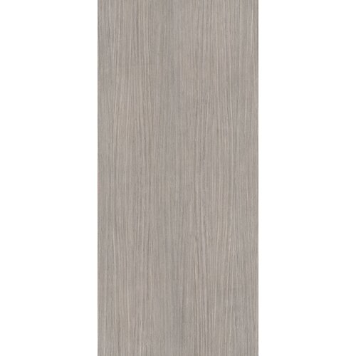 Vloertegel Douglas & Jones 120x280 cm Magnum Plank 5 (Prijs per M2) 