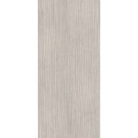 Vloertegel Douglas & Jones 120x280 cm Magnum Plank 4 (Prijs per M2)