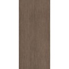 Douglas & Jones Vloertegel Douglas & Jones 120x280 cm Magnum Plank 2 (Prijs per M2)