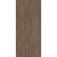 Vloertegel Douglas & Jones 120x280 cm Magnum Plank 2 (Prijs per M2)