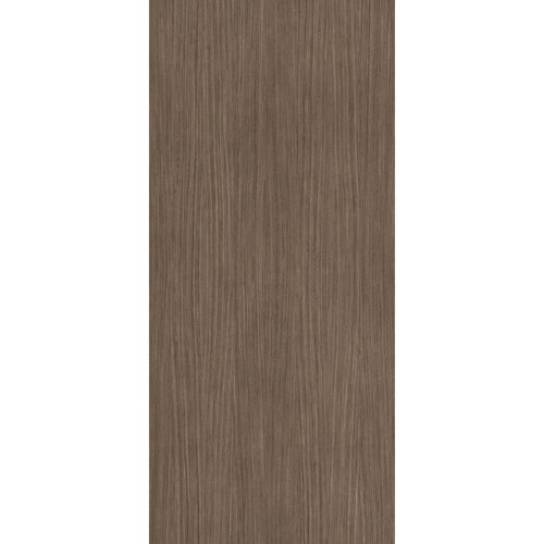 Vloertegel Douglas & Jones 120x280 cm Magnum Plank 2 (Prijs per M2) 