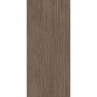 Vloertegel Douglas & Jones 120x280 cm Magnum Plank 2 (Prijs per M2)