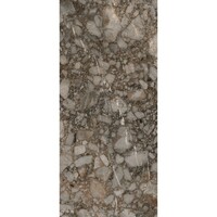 Vloertegel Douglas & Jones 120x280 cm Magnum Mat Riverbed (Prijs per M2)