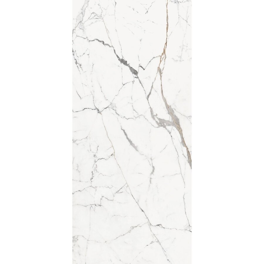 Vloertegel Douglas & Jones 120x280 cm Magnum Mat Or (Prijs per M2)