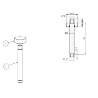 Douchearm BWS Danielle Met Plafondbevestiging 15 cm Geborsteld Staal