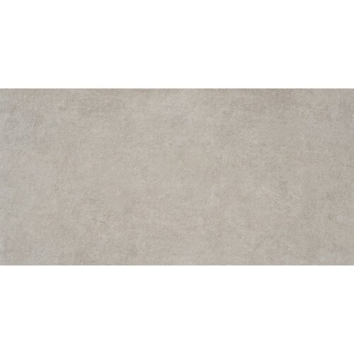 Vloertegel Alaplana P.E. Bonn Gerectificeerd 60x120 cm Mate Grey (Prijs per M2) 