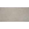 Alaplana Decor Alaplana P.E. Bonn Gerectificeerd 60x120 cm Decor Relief Mate Grey (Prijs per stuk)