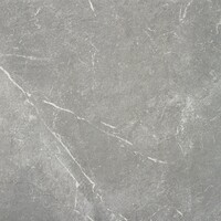 Vloertegel Alaplana P.E. Blade Gris Mate 60x60 cm Gerectificeerd Marmerlook (Prijs per M2)