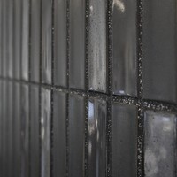 Mozaiek Tegel Sevilla 29,6x30 cm Finger Glossy Carbon Shades of Gray (Prijs per 0.89 M2)