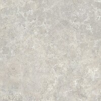 Vloertegel Flaminia Everest 60x120cm Grey (Prijs per M2)