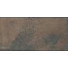 Vloertegel Ape Grupo Reef Corten 60x120 cm Bruin Mat (Prijs per M2)