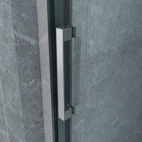 Nisdeur 3-Delig Schuifdeur BWS Aloni  80x200 cm 8 mm NANO Coating