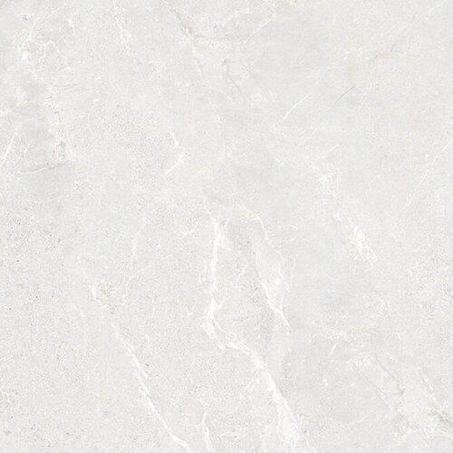 Vloertegel Energieker Wonder 60x60 Cm Mat Bright (Prijs per M2) 