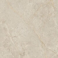 Vloertegel Energieker Wonder 60x60 Cm Mat Dunes (Prijs per M2)