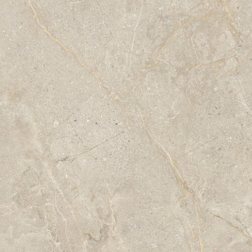 Vloertegel Energieker Wonder 60x60 Cm Mat Dunes (Prijs per M2) 