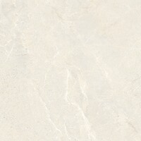 Vloertegel Energieker Wonder 60x60 Cm Mat Sleet (Prijs per M2)