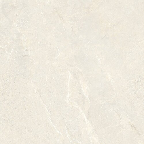 Vloertegel Energieker Wonder 60x60 Cm Mat Sleet (Prijs per M2) 