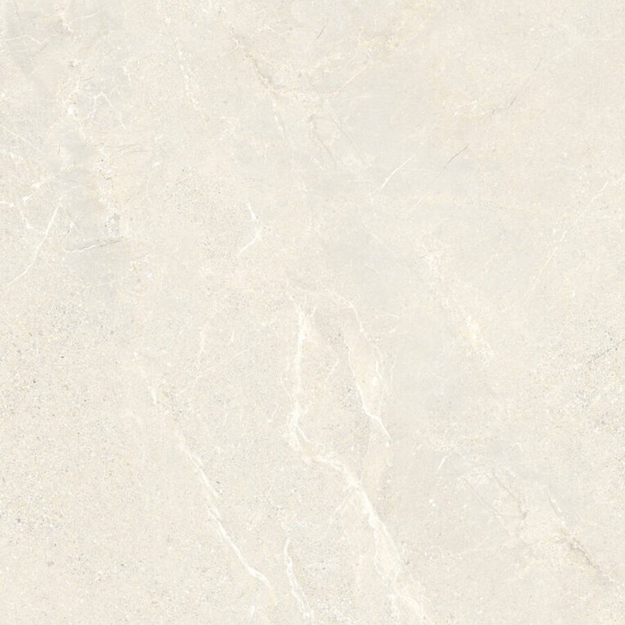 Vloertegel Energieker Wonder 60x60 Cm Mat Sleet (Prijs per M2)