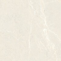 Vloertegel Energieker Wonder 120x120 Cm Mat Sleet (Prijs per M2)