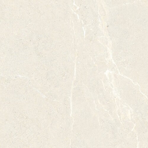 Vloertegel Energieker Wonder 120x120 Cm Mat Sleet (Prijs per M2) 