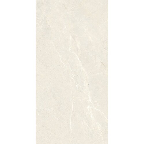 Vloertegel Energieker Wonder 60x120 Cm Mat Sleet (Prijs per M2) 