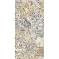 Vloer- En Wandtegel Energieker Ekxtreme Gepolijst 60x120 Cm Warm Ambrosia (Prijs per M2)