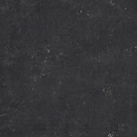 Vloertegel Energieker Hardstone 120x120 Cm Mat Dark (Prijs per M2)