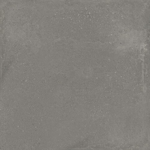 Vloertegel Argenta Davenport 75x75 Cm Mat Dark (Prijs per M2) 