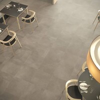 Vloertegel Logan Grigio 60x120cm (prijs per m2)