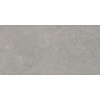 Vloertegel Pamesa Cromat Gris 60x120 cm Gerectificeerd Mat Grijs (Prijs Per M2)