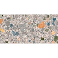 NIET MEER LEVERBAAR Vloertegel Pamesa Pietra Di Gre Multi 30x60 cm Gerectificeerd Mat Multi (Prijs Per M2)