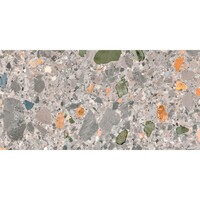 NIET MEER LEVERBAAR Vloertegel Pamesa Pietra Di Gre Multi 30x60 cm Gerectificeerd Mat Multi (Prijs Per M2)