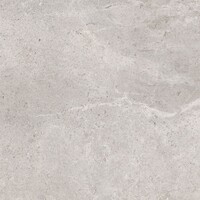 Vloertegel Pamesa Erding Silver 90x90 cm Gerectificeerd Mat Grijs (Prijs Per M2)