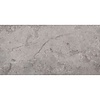 Vloertegel Pamesa Erding Grey 30x60 cm Gerectificeerd Mat Grijs (Prijs Per M2)