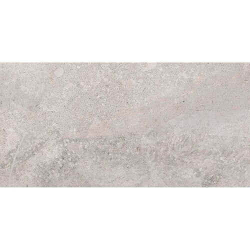 Vloertegel Pamesa Erding Silver 30x60 cm Gerectificeerd Mat Grijs (Prijs Per M2) 