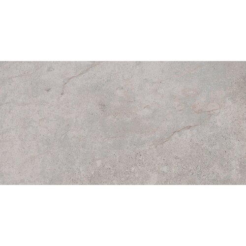 Vloertegel Pamesa Erding Ash 30x60 cm Gerectificeerd Mat Grijs (Prijs Per M2) 