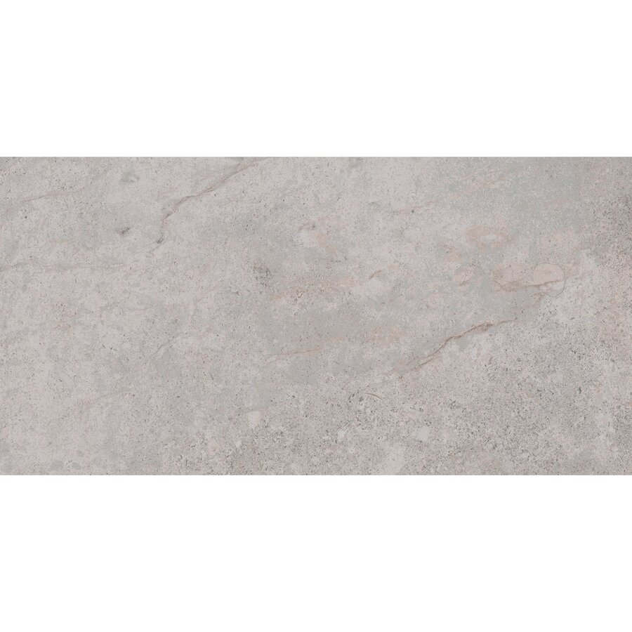 Vloertegel Pamesa Erding Ash 30x60 cm Gerectificeerd Mat Grijs (Prijs Per M2)